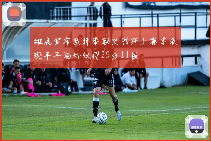 雄鹿宣布裁掉泰勒史密斯上赛季表现平平场均仅得29分11板