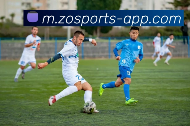 中欧体育发展历程