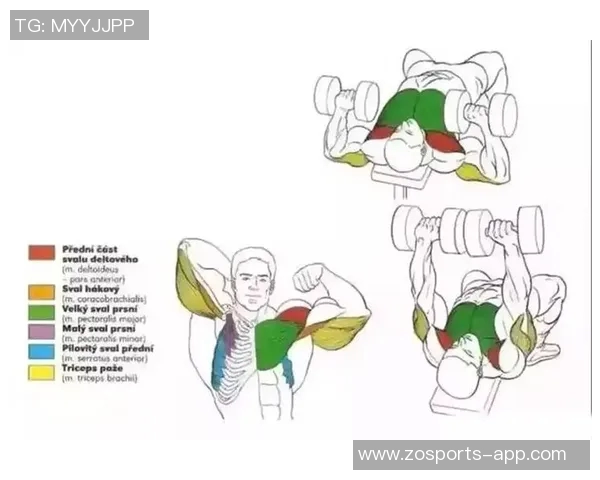 布雷默膝盖手术后六周伤缺康复中分享健身房训练进展